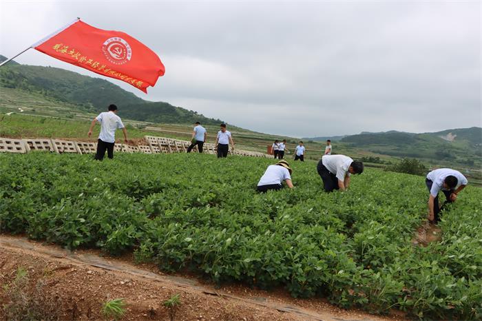 Bwin·必赢亚洲(中国区)唯一官方网站