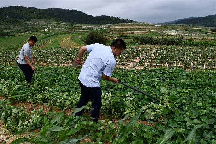 Bwin·必赢亚洲(中国区)唯一官方网站