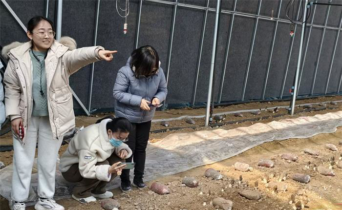 Bwin·必赢亚洲(中国区)唯一官方网站